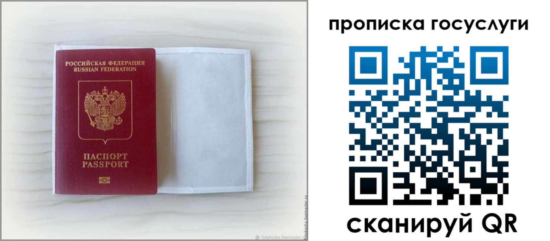 прописка для кредита в Долгопрудном